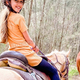 Horse Saddle