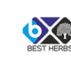 Best Herbs