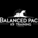 Balanced Pack  K9 Training