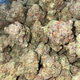 Gelato  Marijuana Strain