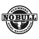 No Bull Plumbing & Home  Maintenance