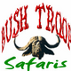 Bushtroop Tours  & Safaris