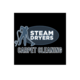 Steam Dryers Carpet Cleaning