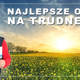 nasiona rzepaku