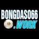 bongdaso66 work