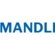 Mandlitechnologies seo