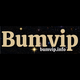 Bumvip info