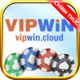 Vipwin cloud