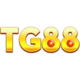 TG88 homes