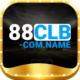 88CLB  COMNAME