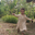 Tareq Ayad